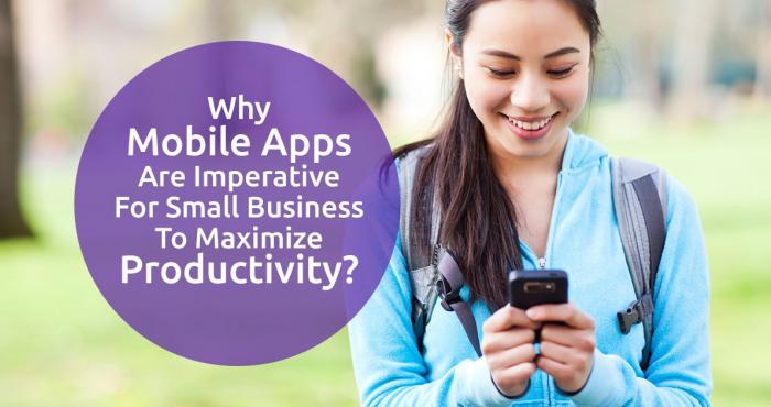 Why Mobile Apps Are Imperative for Small Business to Maximize Productivity?