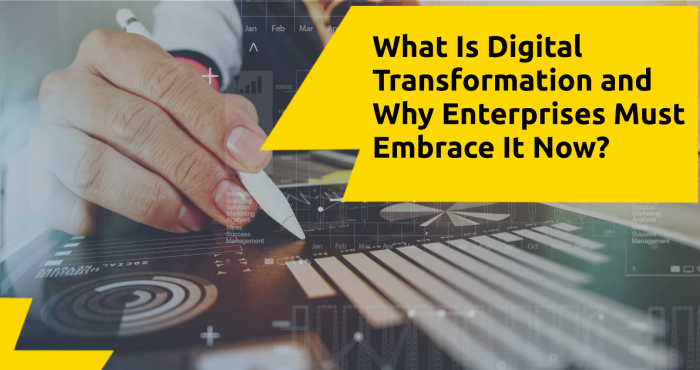 What Is Digital Transformation and Why Enterprises Must Embrace It Now?