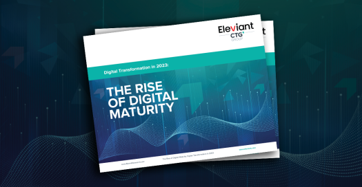 The Rise of Digital Maturity