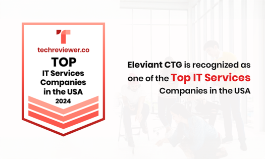 Eleviant Tech Soars as a Top IT Services Company in the USA for 2024 by Techreviewer.co